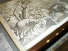 Редкие картины и книжные издания представили в Псковском музее - 2026-06-15 13:05:00 - 12