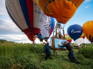Общий старт аэростатов прошёл в Захарино недалеко от Великих Лук - 2026-06-16 23:50:00 - 16