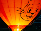 Массовый старт аэростатов прошел в Великих Луках - 2026-06-19 12:12:00 - 14