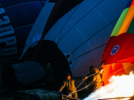 Массовый старт аэростатов прошел в Великих Луках - 2026-06-19 12:12:00 - 11