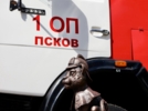 Новый барсик появился в Пскове - 2026-07-02 10:35:00 - 8