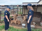 Судебные приставы посетили Центр милосердия для животных - 2026-07-02 14:05:00 - 3