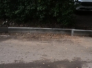 В Великих Луках продолжается ремонт дворов - 2026-07-23 11:35:00 - 3