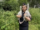 Двух осиротевших лебедят спасла сотрудница транспортной полиции - 2026-07-31 15:05:00 - 3