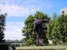 Полицейские Великих Лук преодолели полосу препятствий со стрельбой - 2026-07-31 11:05:00 - 4
