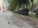 Грязь в Великих Луках раскритиковал губернатор - 2026-08-19 12:35:00 - 5