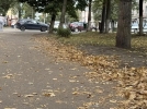 Грязь в Великих Луках раскритиковал губернатор - 2026-08-19 12:35:00 - 6