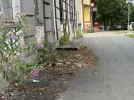 Грязь в Великих Луках раскритиковал губернатор - 2026-08-19 12:35:00 - 4