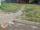 Великолучане пожаловались на мусор во дворах - 2026-08-20 11:35:00 - 5