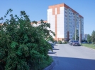 В Пскове продолжается работа по благоустройству - 2026-08-27 09:05:00 - 4