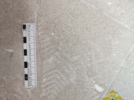 В Великих Луках раскрыли кражу из здания бывшего кинотеатра - 2026-09-02 09:35:00 - 3