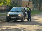 Соблюдение правил перевозки детей проверили великолукские полицейские - 2026-09-14 11:35:00 - 6