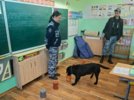 Кинологи провели урок безопасности для опочецких школьников - 2026-10-03 09:05:00 - 5