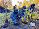 В Великих Луках помогли благоустроить берег пруда в Переслегино - 2026-10-21 13:05:00 - 5