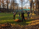 Порядка 280 кубометров листвы собрали в Ботаническом саду Пскова - 2026-10-28 09:05:00 - 5