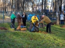 Порядка 280 кубометров листвы собрали в Ботаническом саду Пскова - 2026-10-28 09:05:00 - 4