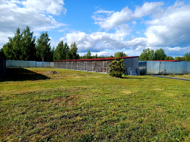 Псковский приют для животных «Шанс» завершит строительство на новом участке - 2023-06-09 11:35:00 - 2