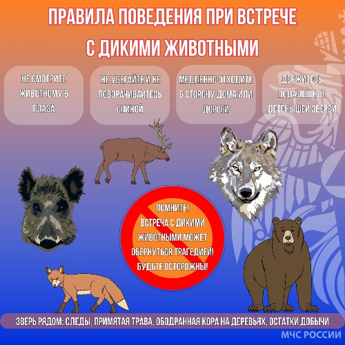 В МЧС рассказали, как себя вести при встрече с дикими животными - 2024-02-03 19:05:00 - 2