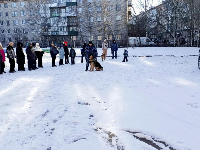 Служебные собаки продемонстрировали свои навыки великолукским школьникам - 2025-02-24 16:35:00 - 2