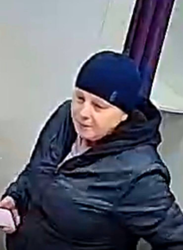 Полиция Великих Лук устанавливает личность женщины - 2025-06-29 20:05:00 - 2