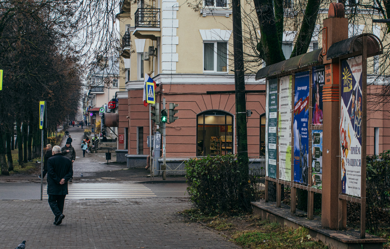 Луки культурные - 2025-11-05 12:35:00 - 4