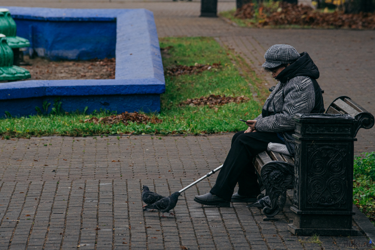 Луки культурные - 2025-11-05 12:35:00 - 5