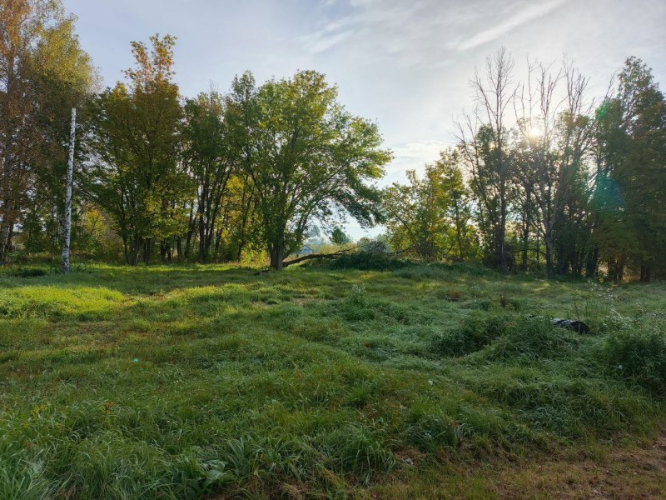 Проект благоустройства парка в Порхове вышел в полуфинал конкурса «Благоустрой» - 2026-01-13 08:35:00 - 2