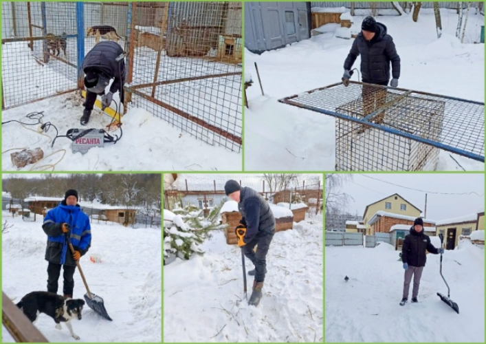 Великолукские осужденные оказали помощь зооприютам - 2026-02-10 12:35:00 - 2