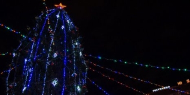 Завтра в Великие Луки доставят новогоднюю ель - 2021-12-14 13:35:00 - 2