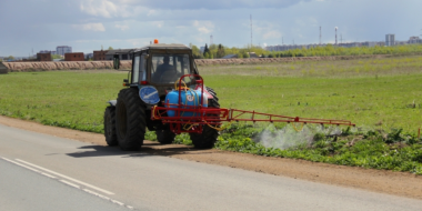 В Псковской области начали обрабатывать территории от борщевика - 2023-05-02 14:35:00 - 2
