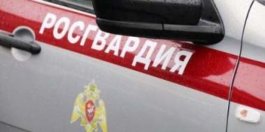 В Великих Луках росгвардейцы задержали подозреваемого в краже - 2022-12-08 16:35:00 - 2