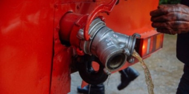 Лесной пожар произошел в Опочецком районе - 2021-06-22 13:57:00 - 2