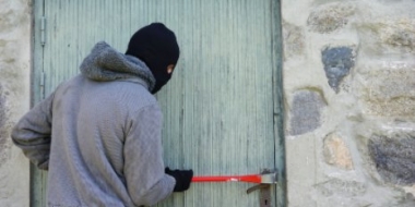 В Локнянском и Плюсском районах раскрыты дачные кражи - 2021-06-03 15:13:00 - 2