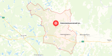 Звание «Край партизанской славы» будет присвоено Новосокольническому району - 2021-06-29 16:00:00 - 2