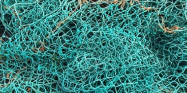 Браконьеров задержали на озере Забельское Гдовского района - 2021-11-23 15:35:00 - 2