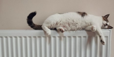 Антимонопольная служба отреагировала на резкий рост платы за ЖКУ - 2022-02-17 18:00:00 - 2