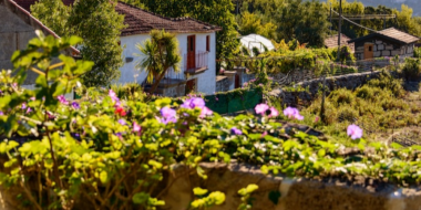 Минсельхоз объявил о проведении конкурса копроектов развития сельского туризма - 2023-04-22 09:05:00 - 2