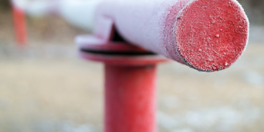 Псковской таможней за полгода возбуждено 33 уголовных дела - 2023-08-12 15:05:00 - 2