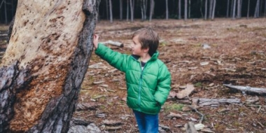 О важности ношения фликеров напомнила Госавтоинспекция Великих Лук - 2021-09-15 18:30:00 - 2