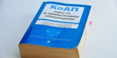 Мужчину в Дедовичах оштрафовали за оскорбление полицейских - 2022-11-10 11:05:00 - 2
