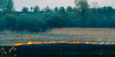 Лесные пожары могут возникнуть в Псковской области в мае - 2023-05-02 17:06:00 - 2
