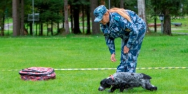 Псковский кинолог и ее собака стали призерами Всероссийских соревнований - 2021-09-14 16:48:00 - 2