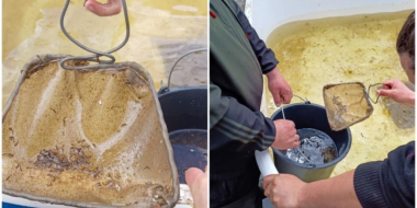 Более 2 млн мальков щуки выпущено в озеро Алоль - 2023-05-22 08:35:00 - 2