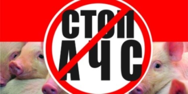 Памятка населению: африканская чума свиней - 2021-07-13 17:37:00 - 2