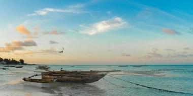 Экзотический туризм: путешествие на остров Занзибар - 2021-06-11 18:42:12 - 2