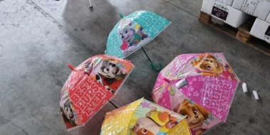 Псковские таможенники пресекли ввоз более 4,5 тысяч контрафактных зонтов - 2021-08-26 16:44:00 - 2