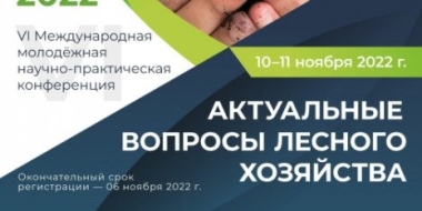 «Актуальные вопросы лесного хозяйства» рассмотрят в Лесотехническом университете - 2022-10-22 11:00:00 - 2