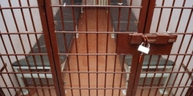 Жителя Псковской области задержали с 65 килограммами наркотиков - 2022-12-06 10:35:00 - 2