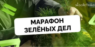 В Псковской области проходит Марафон зеленых дел - 2024-05-26 20:05:00 - 2