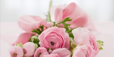 Работников лёгкой промышленности поздравил Александр Котов - 2021-06-13 20:00:00 - 2